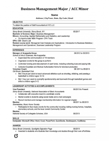 fresher accountant resume format in word